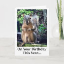 Search for funny squirrel jokes Humour