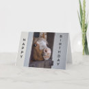 Search for animals funny horse birthday cards Farm