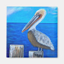 Search for pelicans magnets Blue