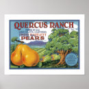 Search for vintage crate labels posters Pears