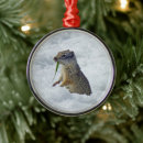 Search for ground squirrels Animal