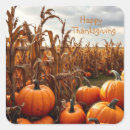 Search for cornfield stickers Autumn