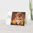 Search for cockapoo christmas cards Xmas