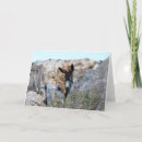 Search for protective fold cards Save