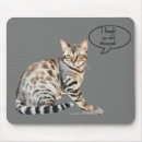 Search for bengals electronics Cats