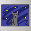 Search for kittes posters Kitten