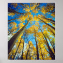 Search for 2 colour posters Aspen