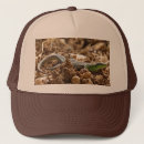 Search for lizard hats Animal