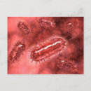 Search for bacteria cells postcards Microbiology