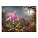 Search for american wildlife posters Landscape