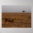 Search for rhinos posters African