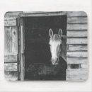 Search for mare electronics Farm animals