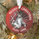 Search for white cat christmas tree decorations Kitty