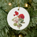 Search for geranium christmas tree decorations Nature