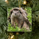 Search for groundhog christmas tree decorations Rodent