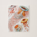 Search for biology puzzles Ernst haeckel