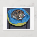 Search for cat on a bed postcards Kitty