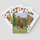 Search for iceland playing cards Horse