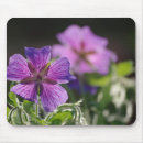 Search for geraniums mousepads Garden