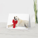 Search for yellow lab christmas cards Labrador