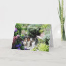 Search for sheltie cards Sheepdog