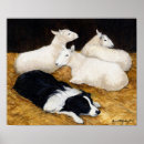 Search for collie art Pet