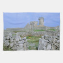 Search for aran Inishmore