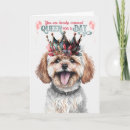 Search for maltipoo cards Dogs