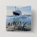 Search for beach badges Ship