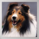 Search for shelti art Dog