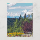 Search for denali alaska postcards Mt mckinley