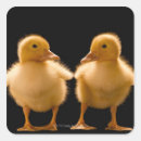 Search for duck face stickers Animals