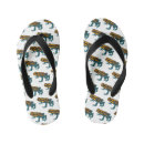 Search for frog shoes Amphibian