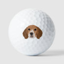 Search for beagle golf equipment Hound