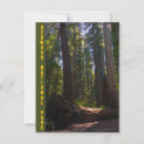 Search for stout postcards California