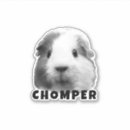 Search for upload photo stickers Picture