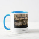 Search for spur mugs Sulcata