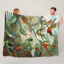 Search for hummingbird blankets Nature