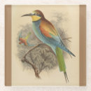 Search for european coasters Bird