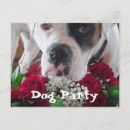 Search for boxer invitations Cute