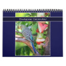 Search for budgie bird office supplies Budgies