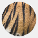 Search for tiger fur stickers Animal