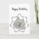 Search for samoyed dog postcards Sled