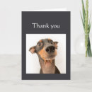 Search for have fun cards Animal