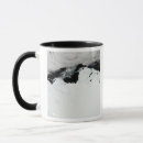 Search for antarctica mugs Coast