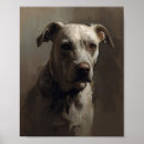 Search for pitbull terrier posters Amstaff