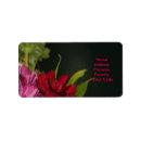 Search for fancy labels Formal
