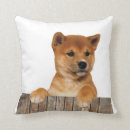 Search for shiba inu cushions Cute