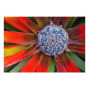 Search for agave art Colour