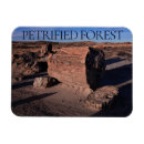 Search for forest park magnets Desert